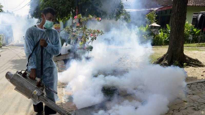 3 Daerah di Jabar Jadi yang Tertinggi Kasus Demam Dengue, Mana Saja?