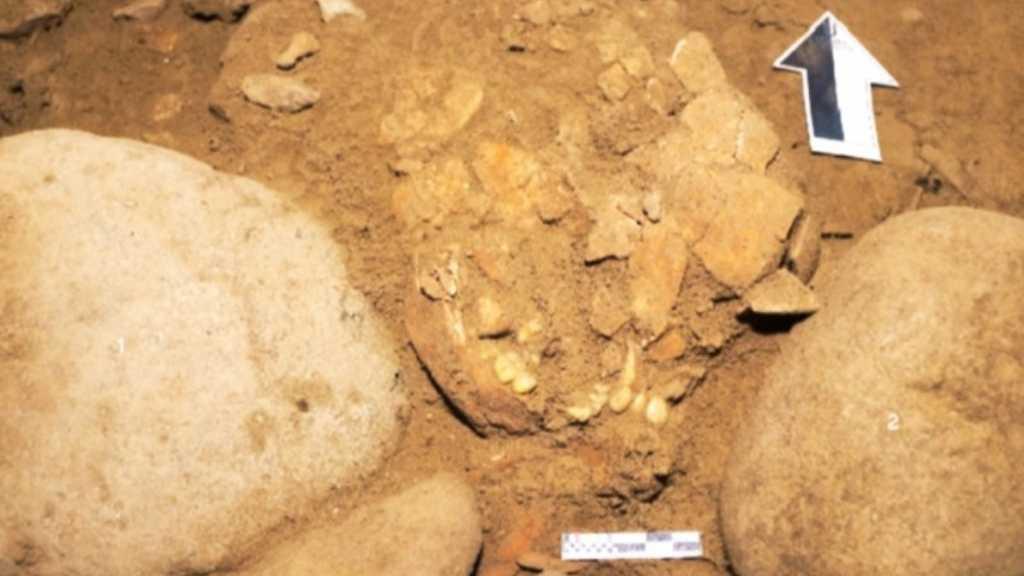 Dinamakan 'Besse', Manusia Purba Modern Berusia 7.200 Tahun di Sulsel Ungkap Sejarah