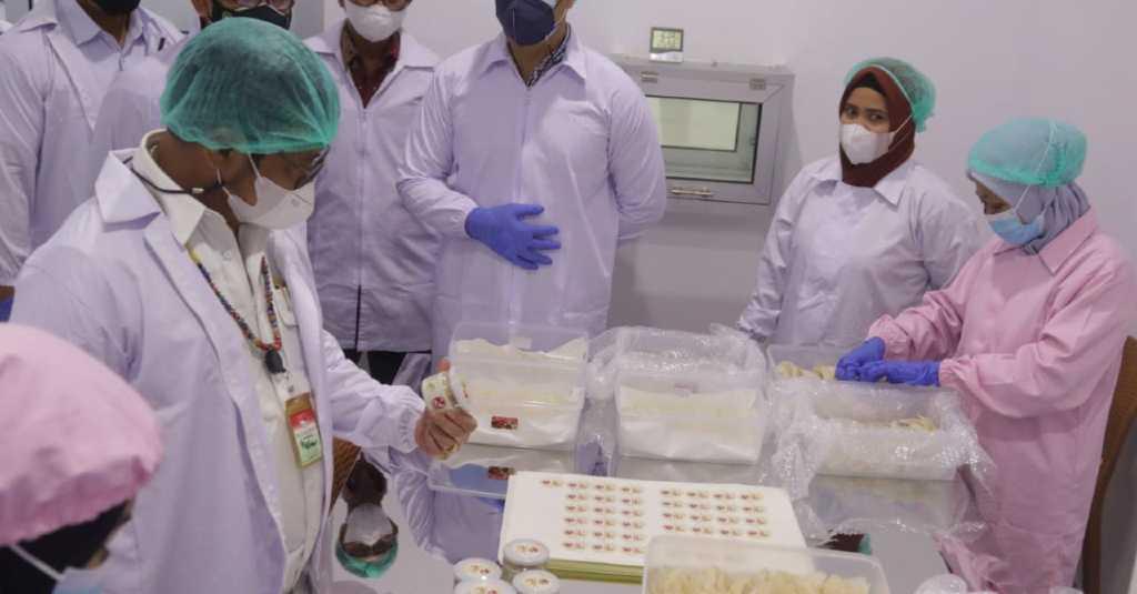 Milenial Kembangkan Pengolahan Sarang Burung Walet di Kalimantan Barat