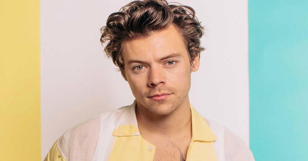 Salut! Harry Styles Hentikan Konsernya Saat Fans Wanita Hamil Pergi ke Toilet dan Berikan Nama Bayinya