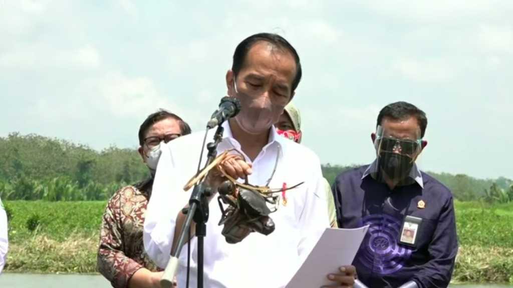 Kala Jokowi Tanam Mangrove di Cilacap: Antisipasi Dampak Perubahan Iklim yang Sedang Terjadi