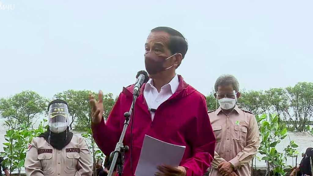 Tegas! Jokowi Sebut Pemerintah Akan Rehabilitasi Mangrove di Seluruh Tanah Air