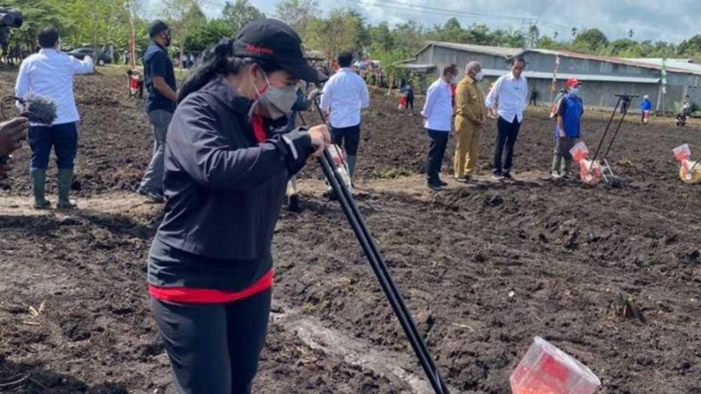 Kala Puan Jajan Jagung Rebus Bareng Jokowi di Sorong, Warga Doakan Sehat Selalu