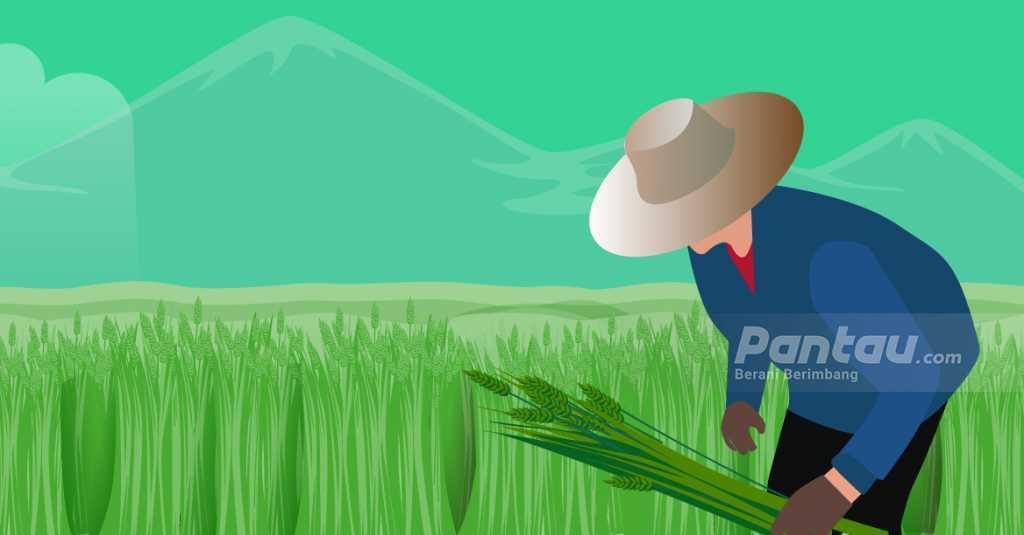 Hampir Rp13 M, KPK Lelang Rampasan Tanah Milik Terpidana Eks Pejabat BPN Kalbar