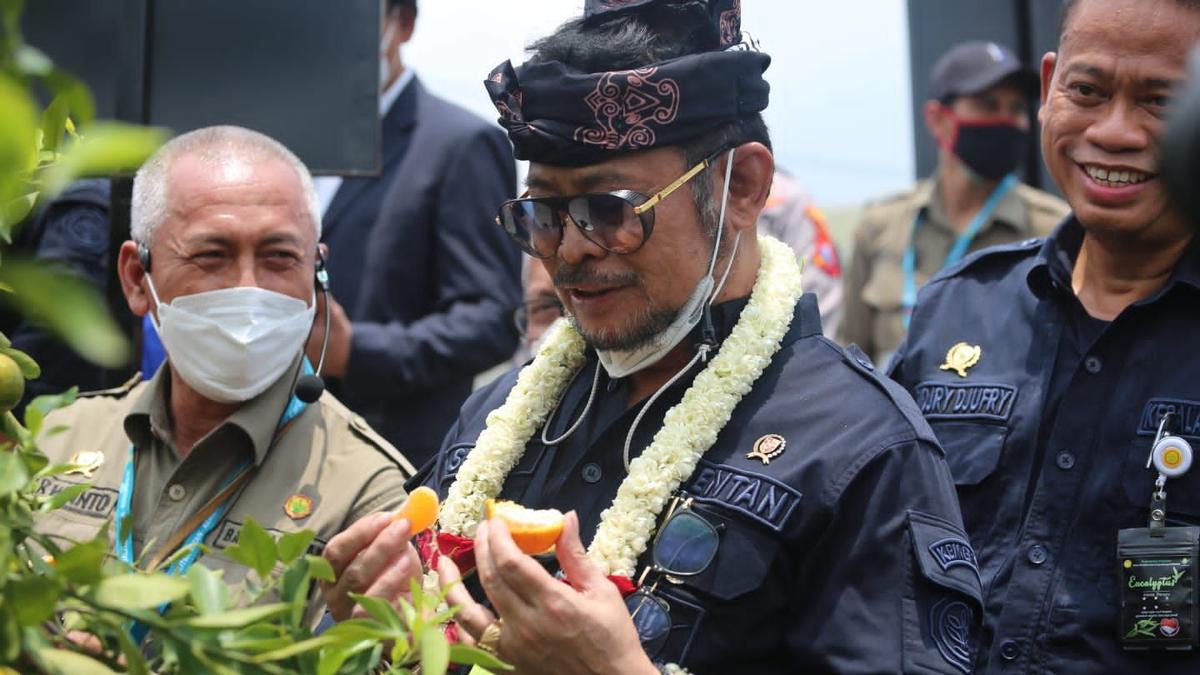 Mentan SYL Targetkan Pengembangan 1 Juta Bibit dan Ekspor Jeruk Tiga Kali Lipat