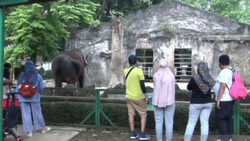 Girangnya Warga Jakarta Sudah Boleh Berkunjung ke Kebun Binatang Ragunan, yang KTP Luar DKI Sabar Ya...