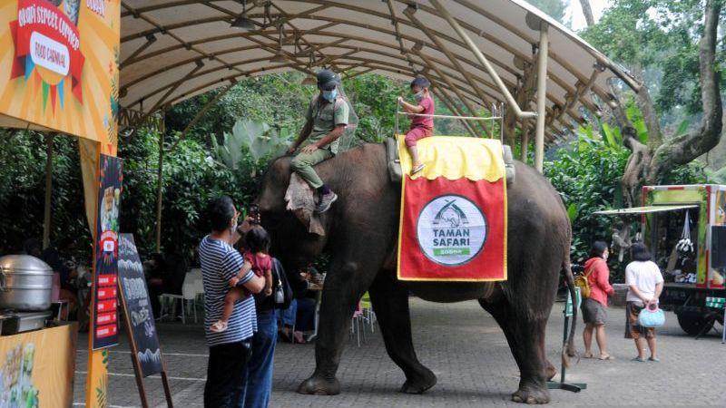 Baru 4 Tempat Wisata di Bogor Kantongi Izin Buka dari Satgas COVID-19