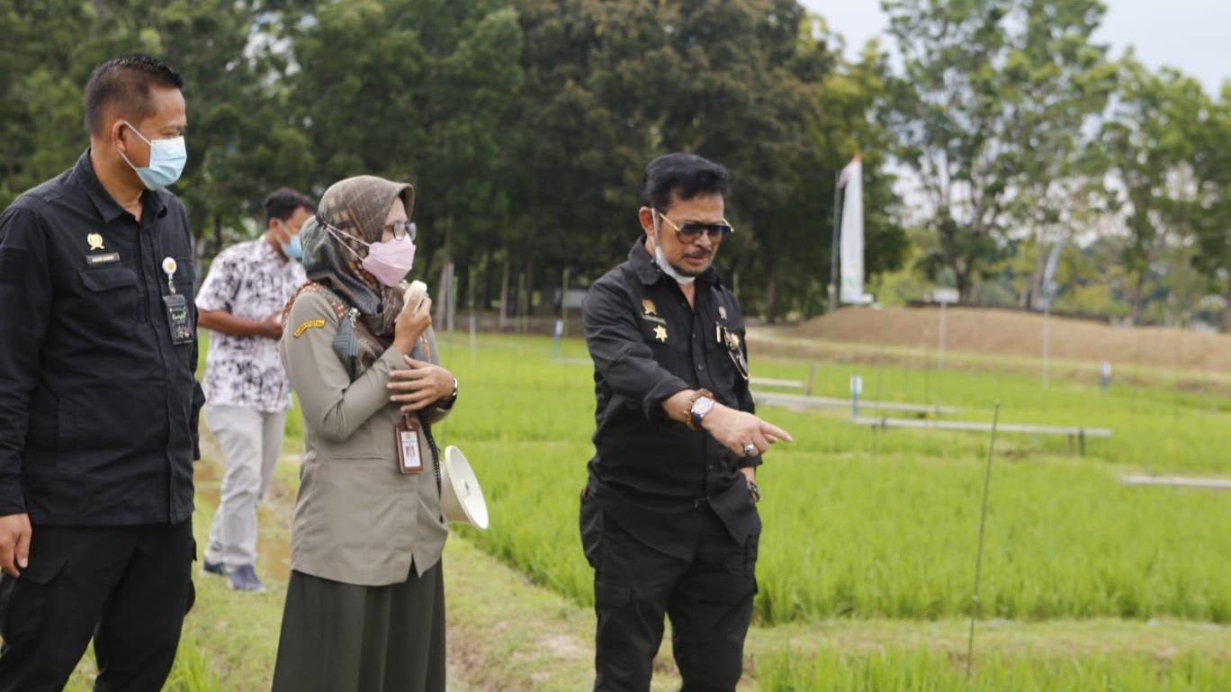 Mentan SYL Ingatkan Pentingnya Adaptasi dan Mitigasi Perubahan Iklim