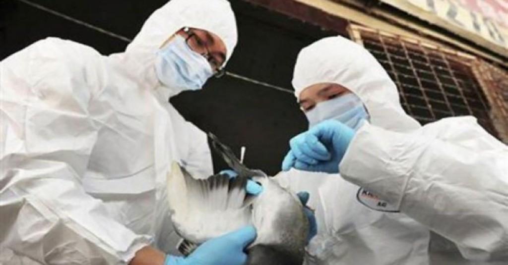 Bukan Covid, Eropa Dilanda Kecemasan Penyebaran Virus Penyakit Ini, Prancis Tetapkan Status Waspada Tinggi!