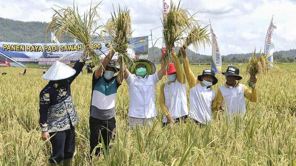 Gus Menteri Halim Iskandar Ajak Petani Wujudkan Ketahanan Pangan Nasional