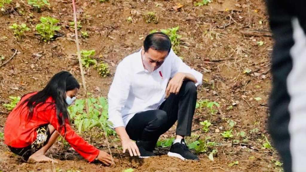 Potret Jokowi Menanam Pohon Bersama Warga di Kawasan Hutan Gunung Pepe NTB