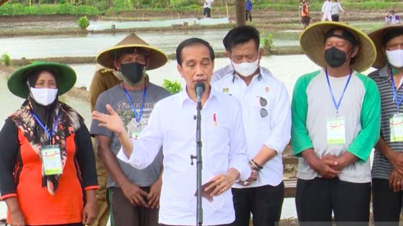 Kebijakan Ini Menandakan Indonesia di Jalan yang Benar! Presiden Jokowi Sebut RI Belum Impor Beras Sama Sekali Tahun 2021