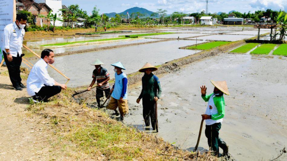 Bendungan dan Benih Unggul Kementan Jadi Pendorong Petani Trenggalek Bisa 4 Kali Panen
