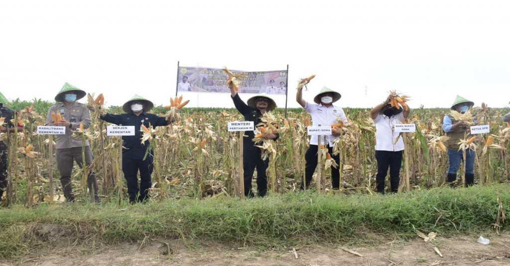 Mentan SYL Siap Laksanakan Perintah Presiden Tanam Jagung di Papua, NTT dan Maluku
