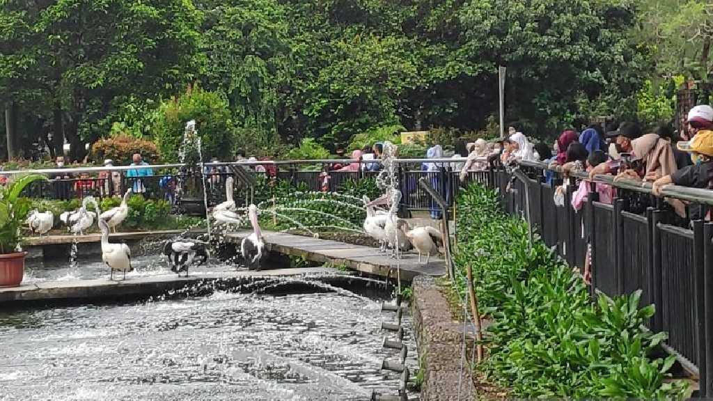 Liburan Natal, Ribuan Pengunjung Serbu Taman Margasatwa Ragunan
