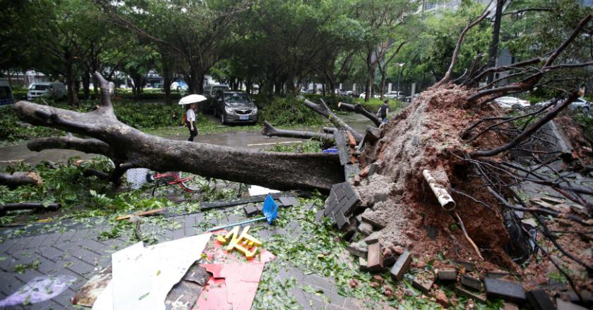 4 Orang Tewas Akibat Terjangan Topan Super Mangkhut di China