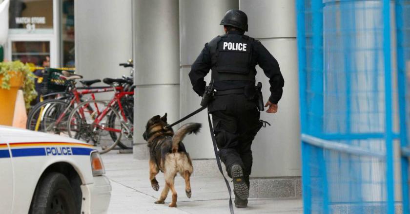 Tengah Buru Pengedar Narkoba, Anjing Polisi Malah Bikin Nenek 73 Tahun Tewas