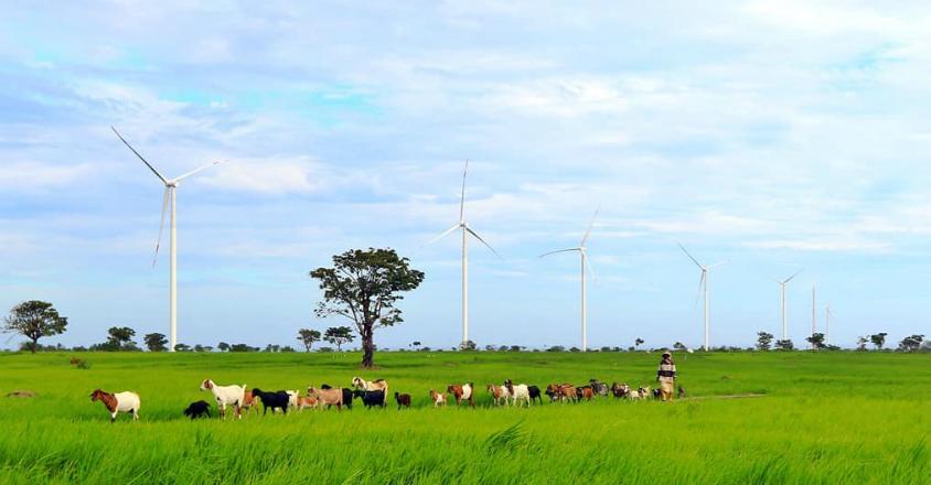 Mengintip PLTB Tolo-I Jeneponto yang Tak Kalah Ciamik dari PLTB Sidrap