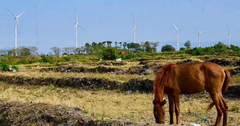 Wilayah Ini Miliki Potensi Energi Angin, 'The Next' PLTB Sidrap dan Tolo-I?