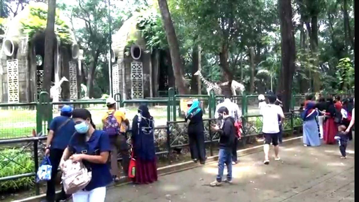Mau Liburan ke Kebun Binatang Ragunan saat Masa PPKM Level 2, Begini Caranya