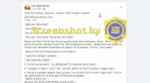 Rebusan Daun Seledri untuk Cuci Ginjal, Fakta atau Hoaks?