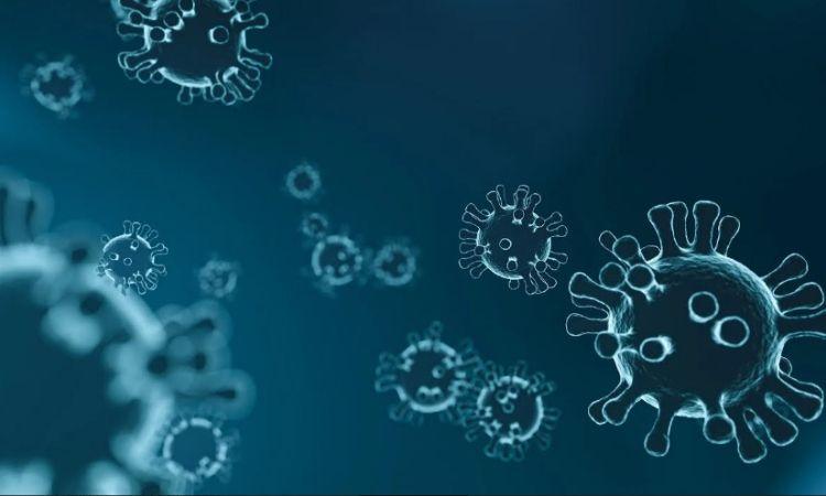 Duh! Covid-19 Belum Berakhir, China Peringatkan Virus NeoCov yang Mematikan