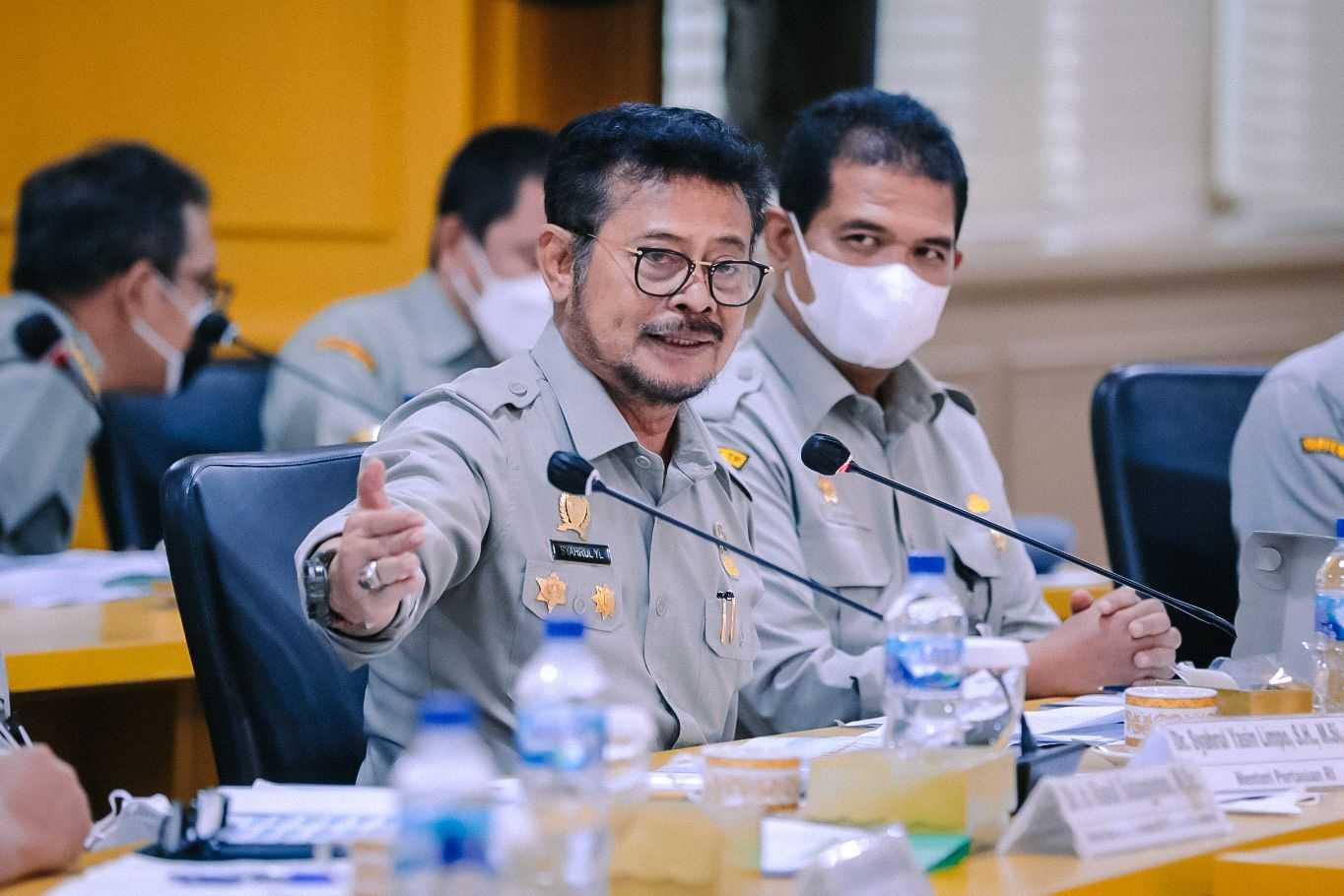 Komite II DPD RI Apresiasi Kinerja Kementan Setop Impor Beras dan Jagung