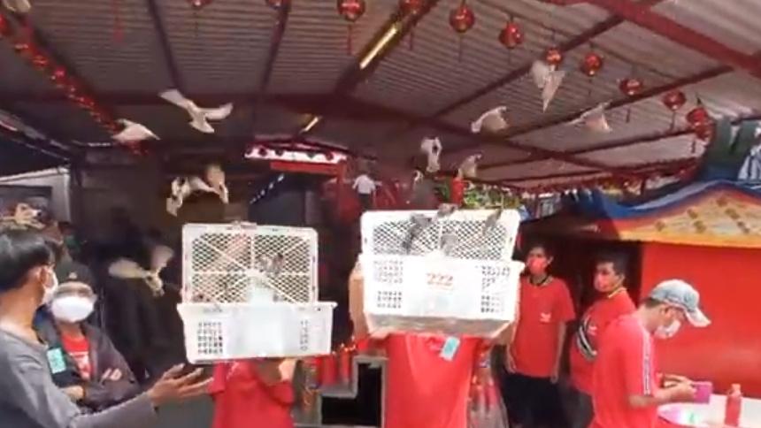 Tradisi Warga Tionghoa Lepas Burung Saat Imlek
