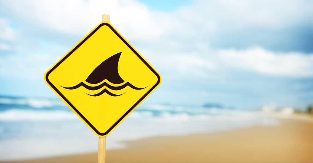 Pantai di Sydney Ditutup Setelah Perenang Tewas Diserang Hiu