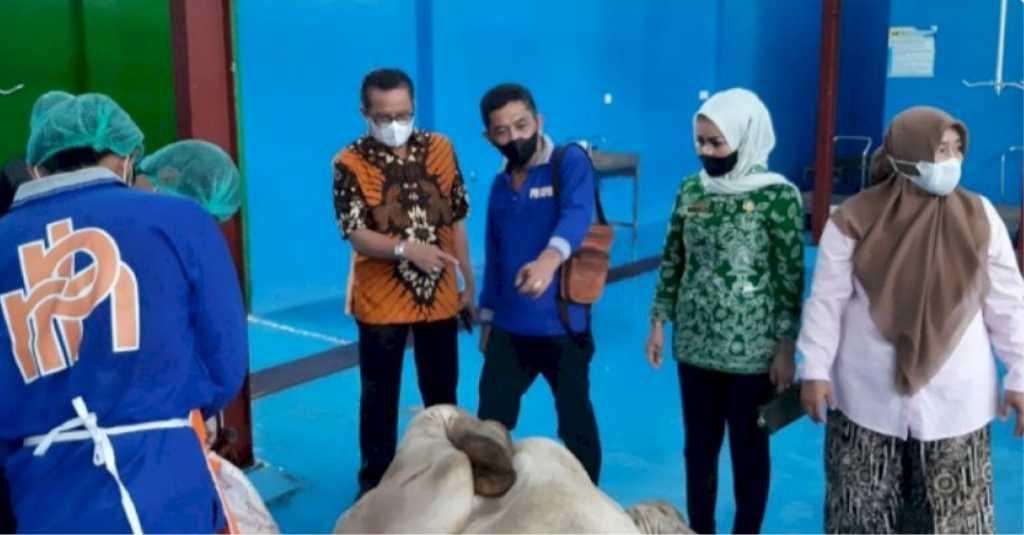 Jelang Ramadhan, Daging Sapi Berkualitas Berdikari Diminati Rumah Potong Hewan dan Masyarakat