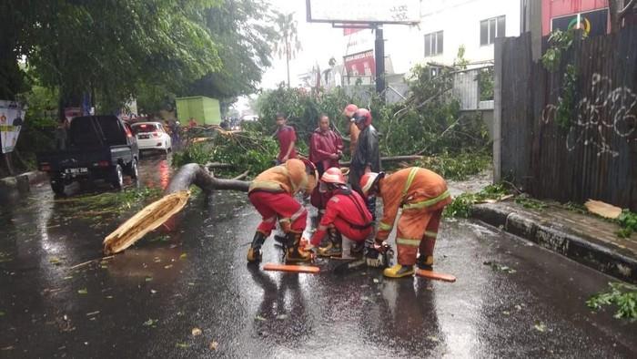 Angin Puting Beliung Ngamuk di Depok, 6 Rumah Rusak dan Belasan Pohon Tumbang