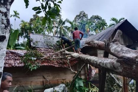 Angin Kencang Landa Aceh Jaya, 5 Rumah Rusak Ditimpa Pohon Besar