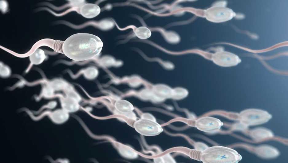 Catat Anak Muda! Merokok dan Kebiasaan Simpan HP di Kantong Celana Bisa Merusak Sperma