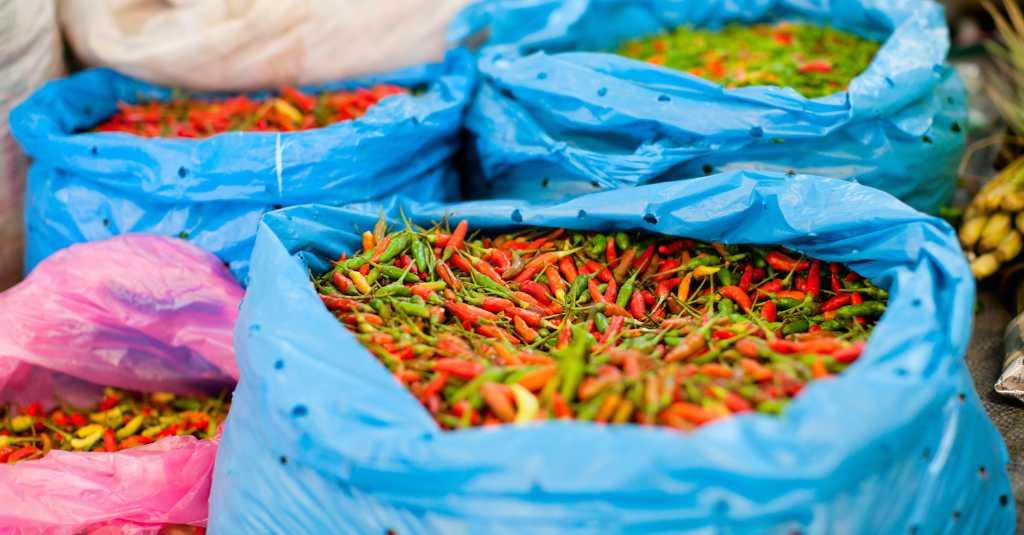 Kementan Yakin Stok Cabai Rawit Jelang HBKN Aman dan Mencukupi