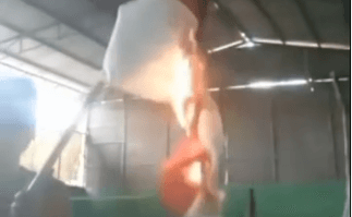 Wanita Ini Nafsu Banget Bakar Bendera Indonesia, Simak Videonya