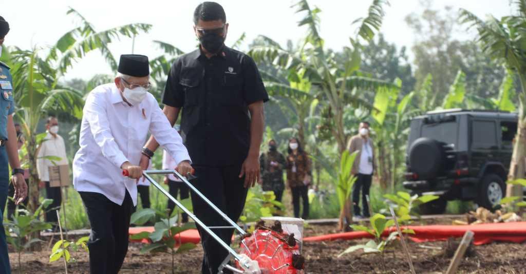 Wapres Ajak Masyarakat Bertani Dengan Konsep Integrated Farming