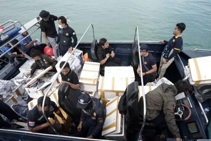 Bea Cukai Kepri Gagalkan Aksi Penyelundupan 138 Ribu Benih Lobster ke Singapura