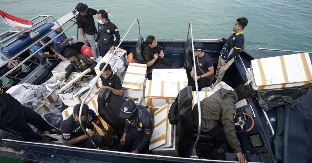Bea Cukai Kepulauan Riau Gagalkan Penyelundupan Benih Lobster Senilai Rp14 Miliar