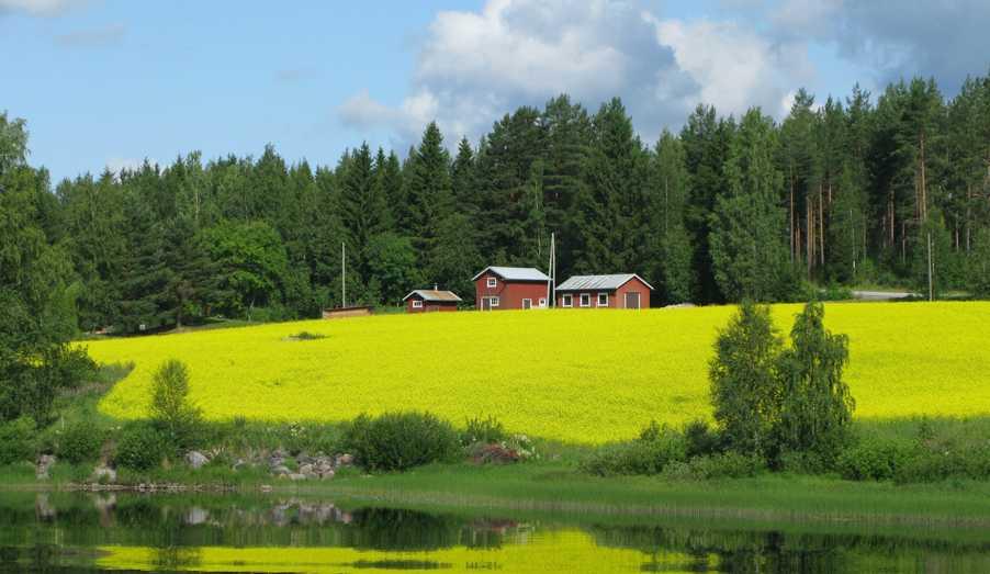 Ini Dia Daftar Negara Paling Bahagia di Dunia Tahun 2022