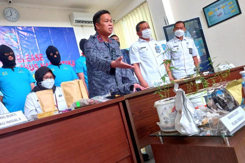 Polisi Tangkap Residivis Asal Sleman yang Diduga Tanam Ganja di Kamar