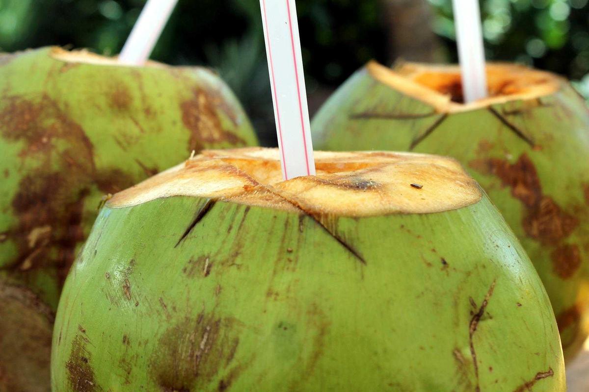 Tujuh Manfaat Minum Air Kelapa untuk Buka Puasa