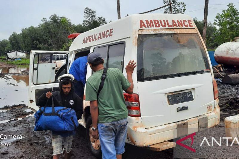 Seorang Pekerja Kontraktor di Jambi Tewas usai Diterkam Harimau Sumatera
