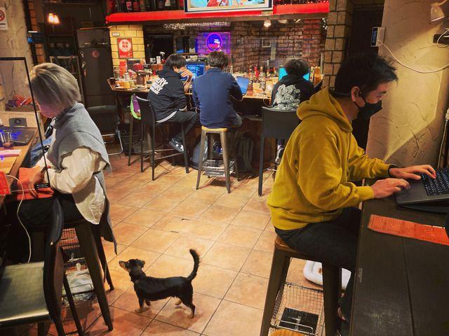 Unik! Cafe Jepang Ini Layani Penulis yang Dikejar Deadline