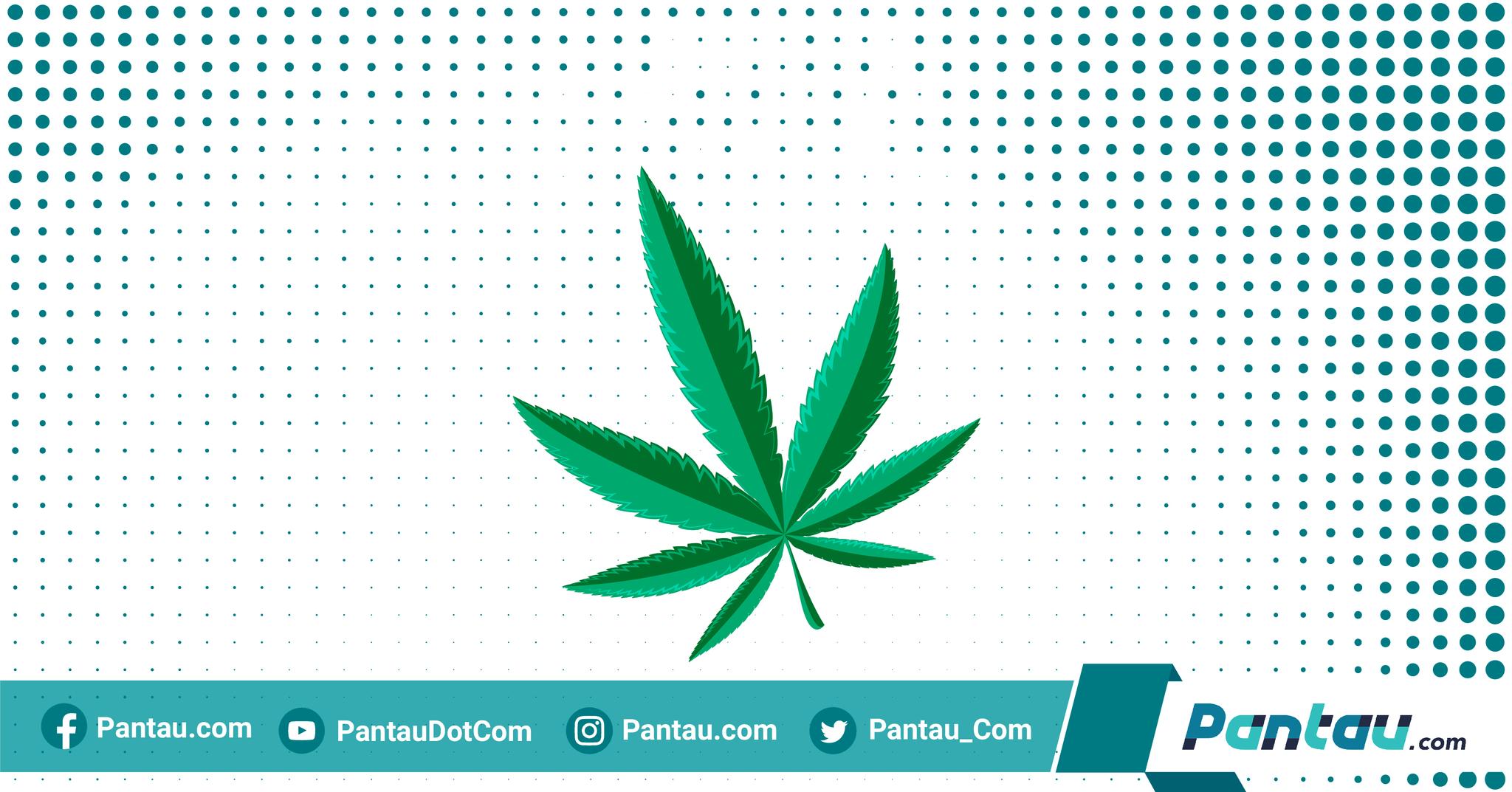 Dua Wanita Nekat Selundupkan Ganja ke Lapas Semarang