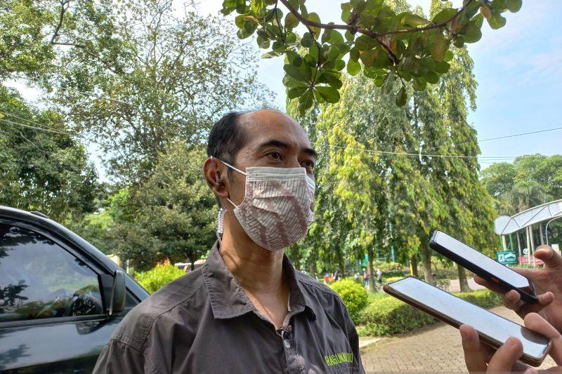 Hewan di Taman Margasatwa Ragunan Makan 'Ketupat' Lebaran