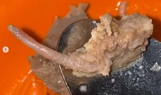 Geger Bakso Tikus di Karawang! Pas Lagi Enak Makan, eh Ada Buntutnya