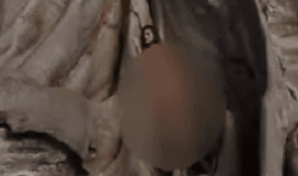 Telanjang di Pohon Sakral Bali, Bule Cantik Asal Rusia Dideportasi