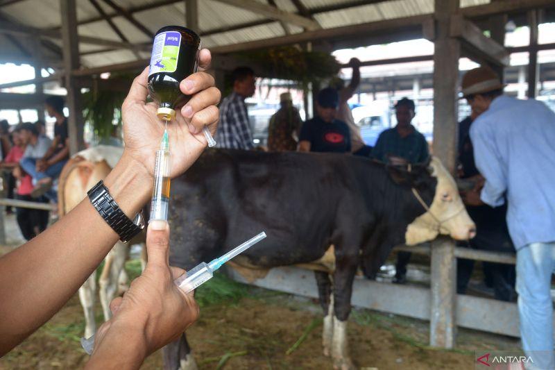 Bebas dari Penyakit Mulut dan Kuku, Pemprov Jateng Tetap Bentuk Tim Unit Reaksi Cepat Cegah PMK