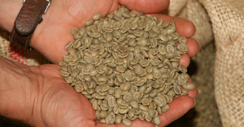 Minum Kopi Hijau Setelah Makan Cegah Lonjakan Kadar Gula Darah