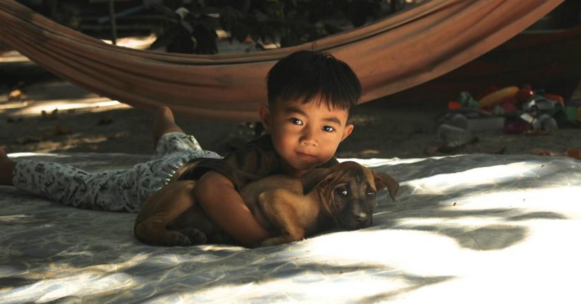 Perjuangan Bocah Selamatkan Anjingnya dari Serangan Ular Ini Bikin Baper